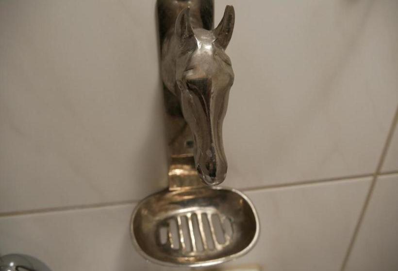 فندق Western Inn