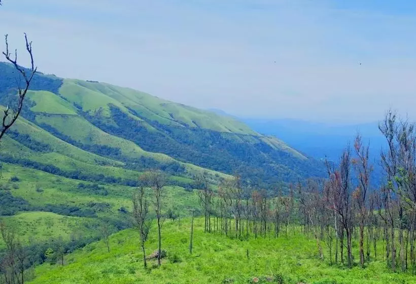 Majatalo Freshup & Stay