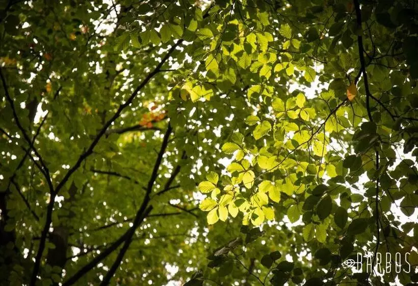 Aamiaismajoitus (B&B) Barbos