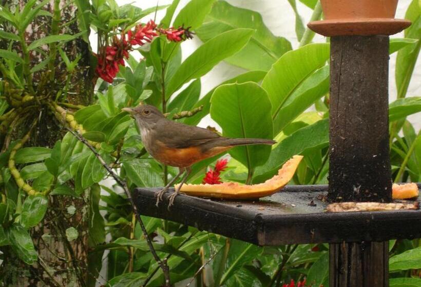 هتل Pousada Torre Del Mar