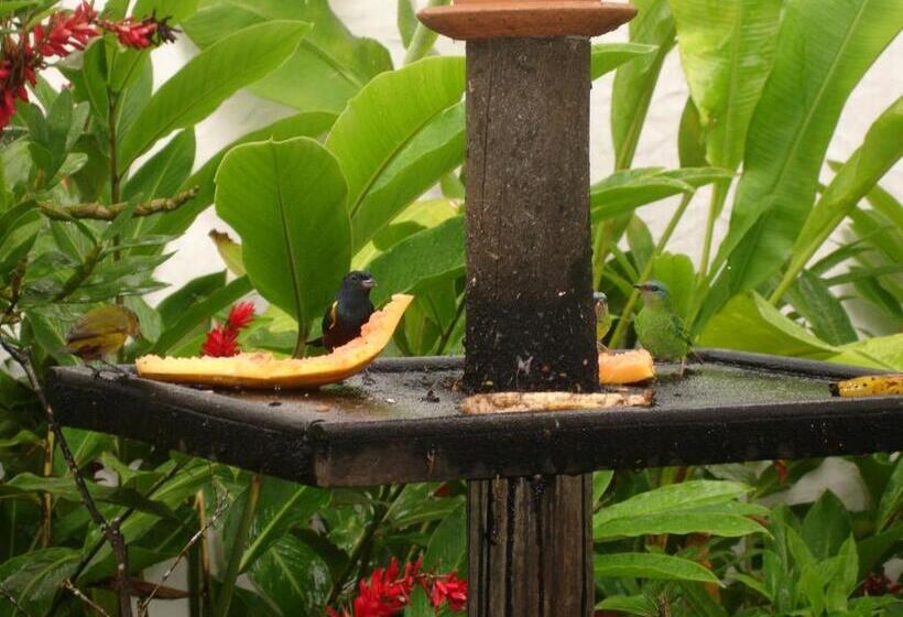 هتل Pousada Torre Del Mar