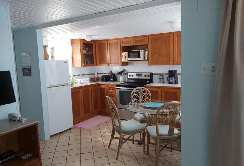 Sealofts On The Beach