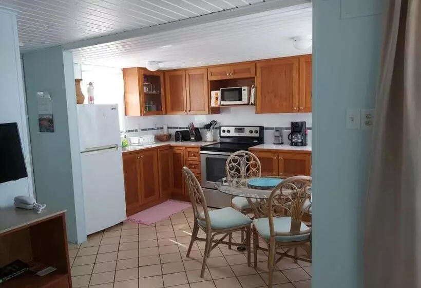 Sealofts On The Beach