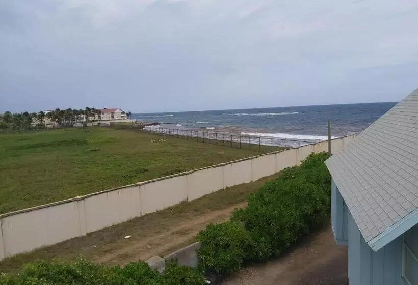 Sealofts On The Beach