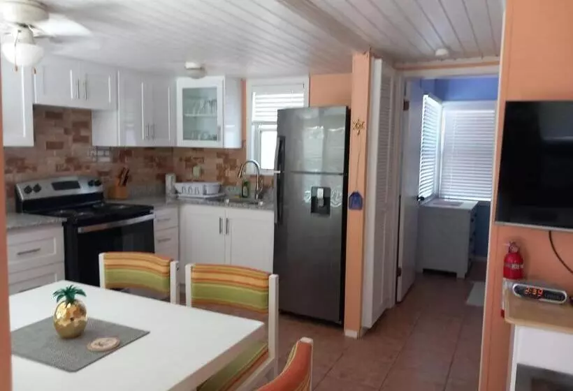 Sealofts On The Beach