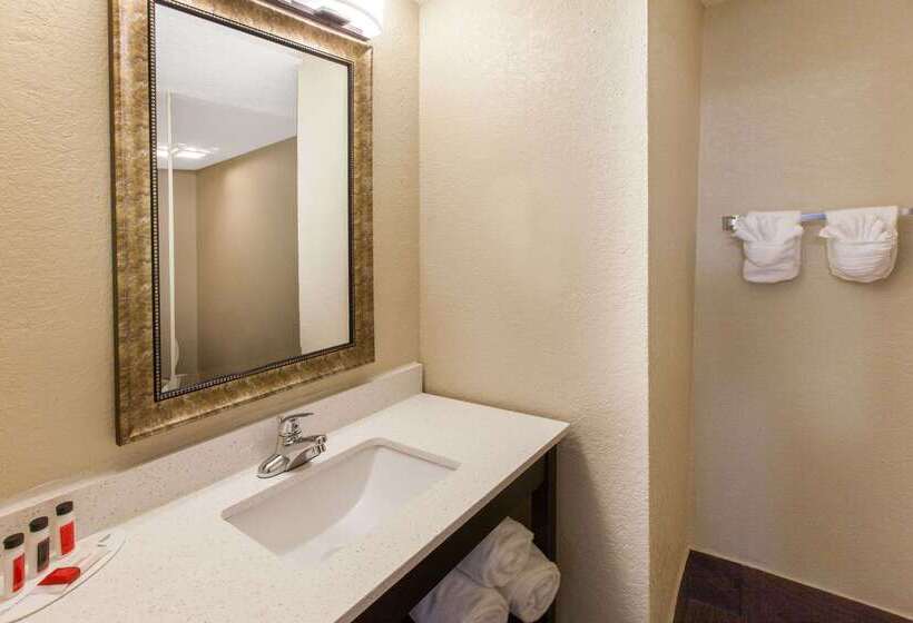 هتل Baymont By Wyndham Downtown Detroit