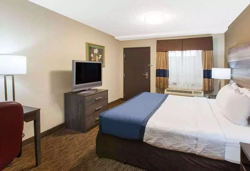 ホテル Baymont By Wyndham Downtown Detroit