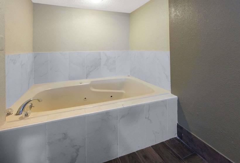 هتل Baymont By Wyndham Downtown Detroit