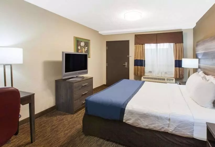 ホテル Baymont By Wyndham Downtown Detroit