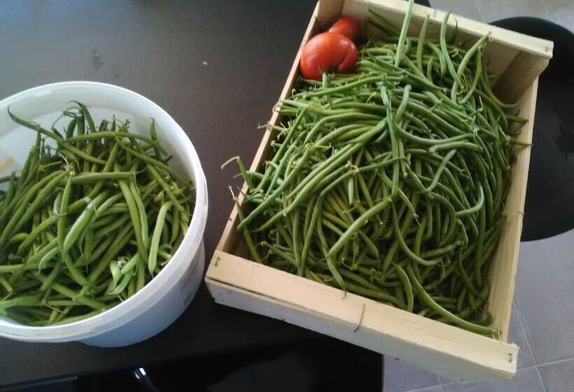 بنسيون Au Pied Du Lariat