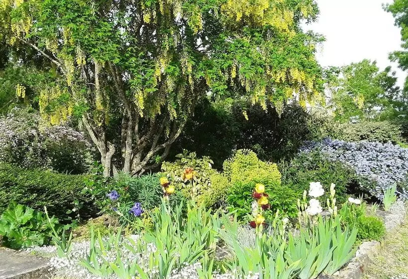 ペンション Chambres D Hôtes De L Ile Du Saule