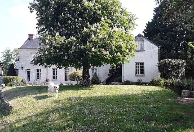 ペンション Chambres D Hôtes De L Ile Du Saule