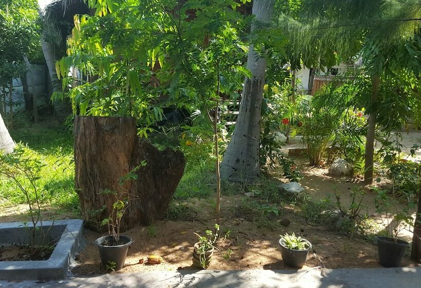 پانسیون River Point Cabana