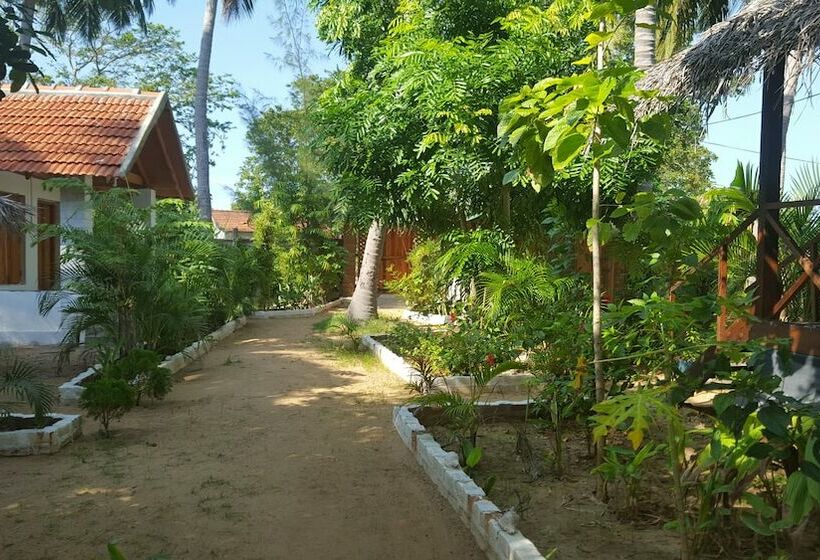 پانسیون River Point Cabana