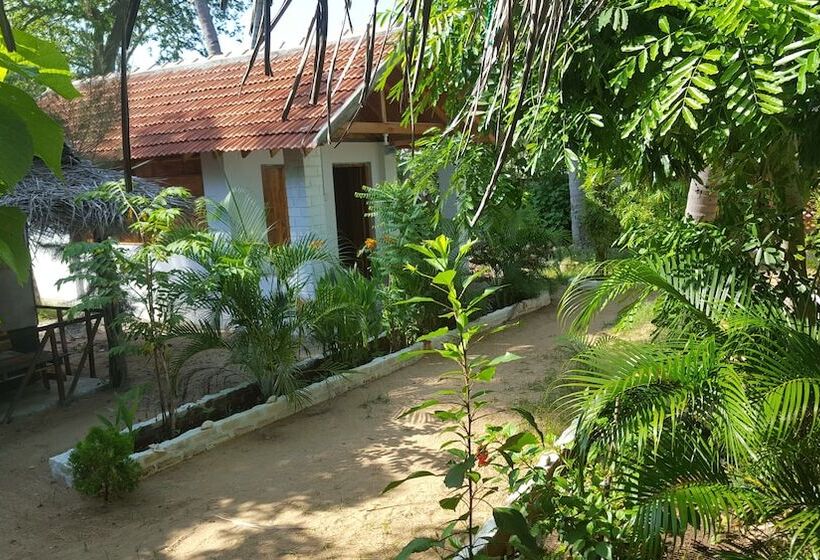 پانسیون River Point Cabana