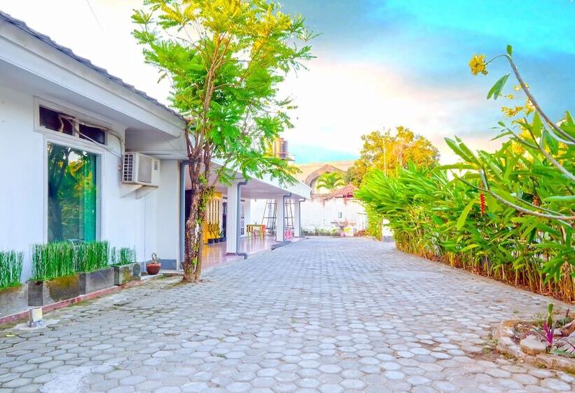 فندق Lombok Guest House