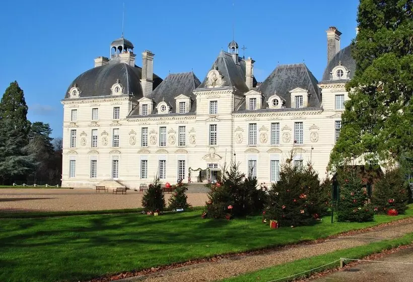 Majatalo Le Tulipier De Virginie