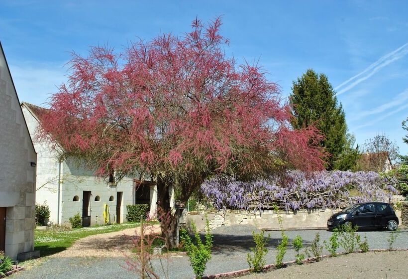 פנסיון Le Tulipier De Virginie