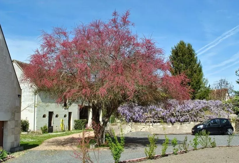 Majatalo Le Tulipier De Virginie
