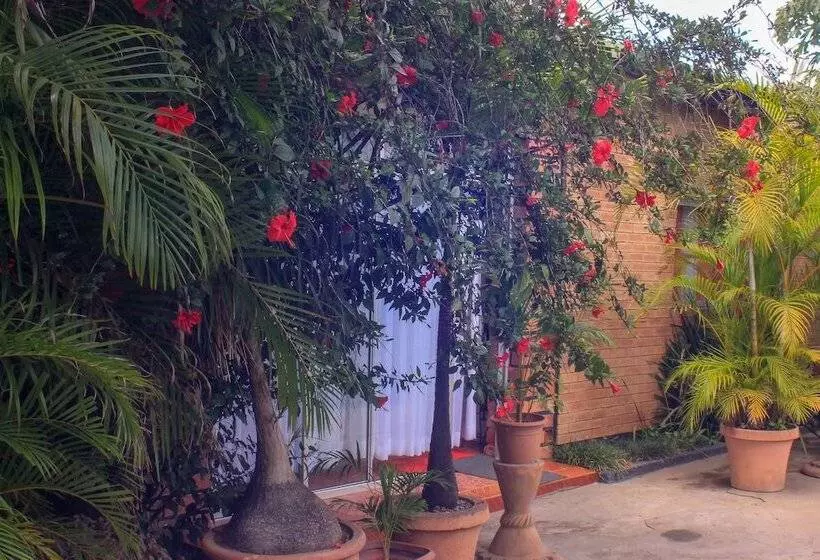 پانسیون Lillo Executive Lodge