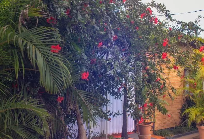 پانسیون Lillo Executive Lodge