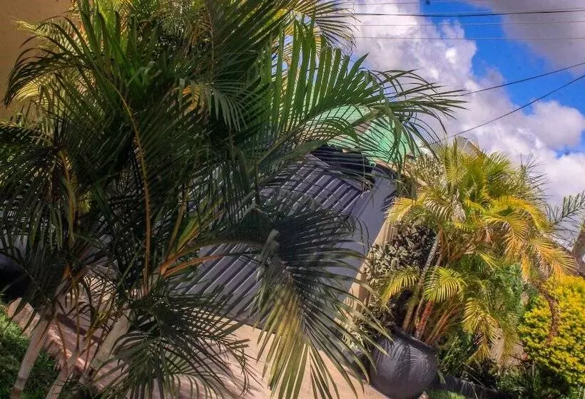 پانسیون Lillo Executive Lodge