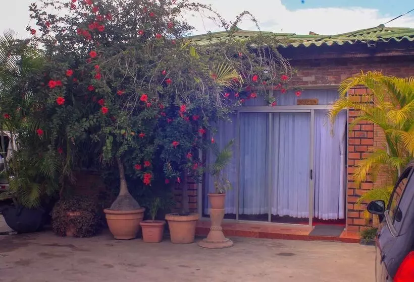 پانسیون Lillo Executive Lodge