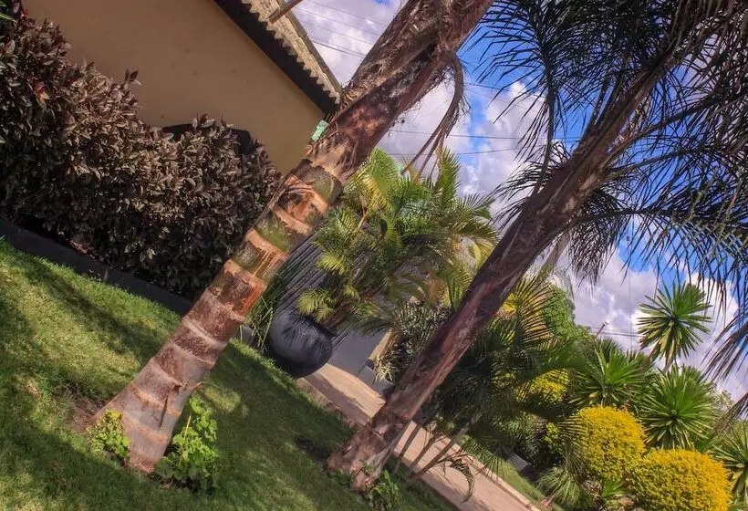 پانسیون Lillo Executive Lodge