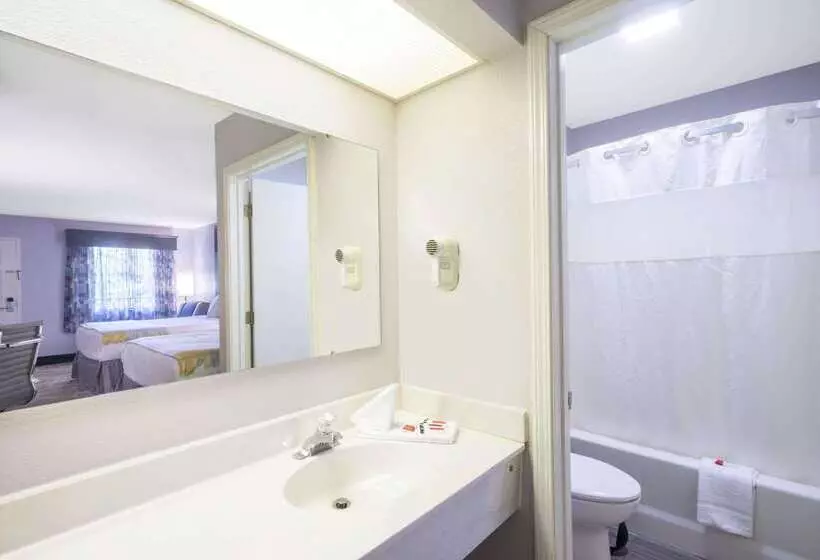 Отель Days Inn By Wyndham Asheville Downtown North