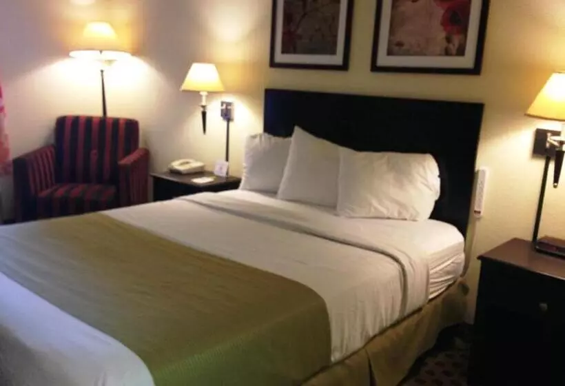 هتل Days Inn By Wyndham Irving Grapevine Dfw Airport North
