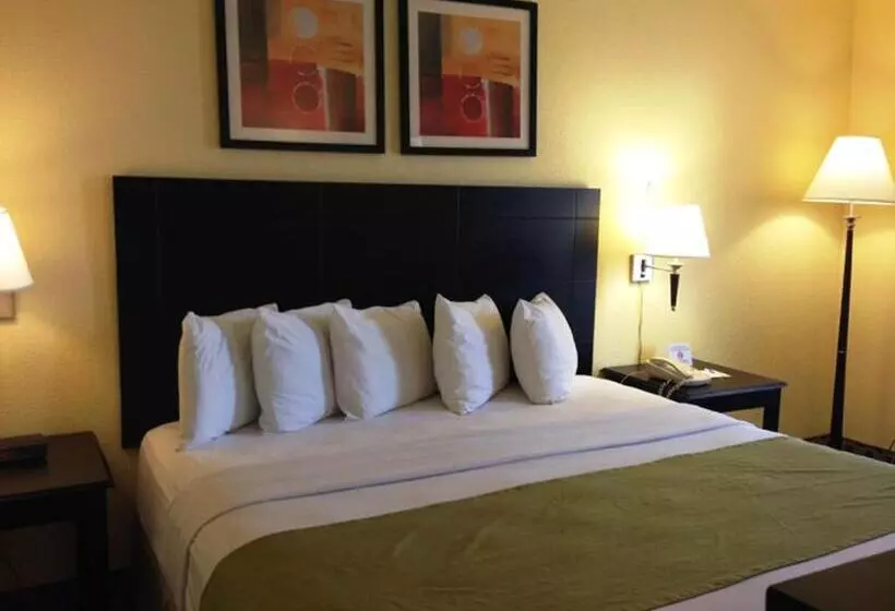 هتل Days Inn By Wyndham Irving Grapevine Dfw Airport North