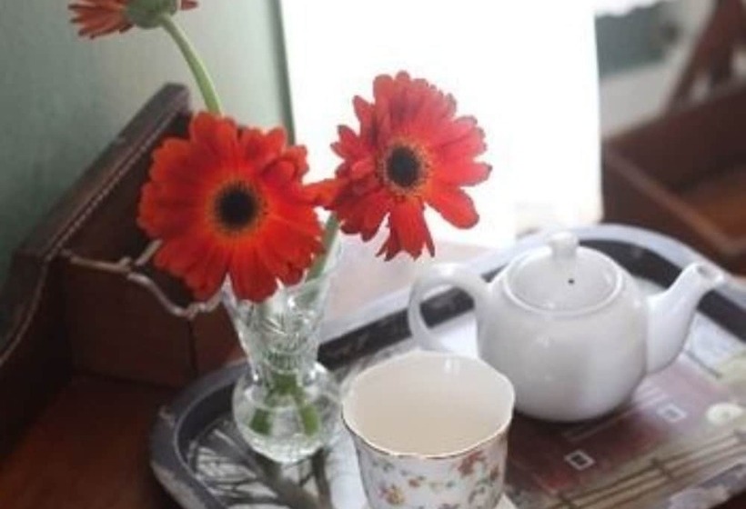 Hotelli Jonathan Pitney House