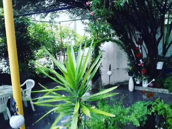 Hostel  Sema