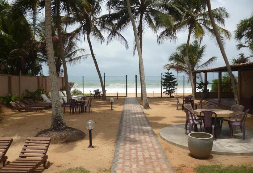 בית מלון כפרי Ocean View Cottage