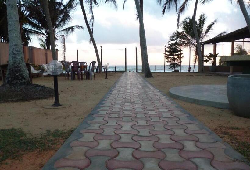 בית מלון כפרי Ocean View Cottage