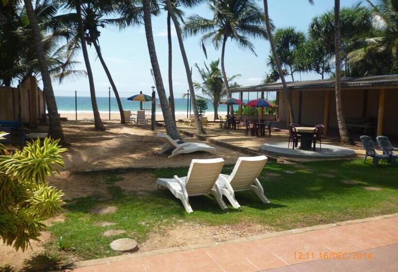 בית מלון כפרי Ocean View Cottage