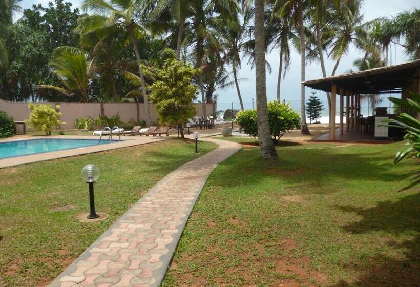 בית מלון כפרי Ocean View Cottage