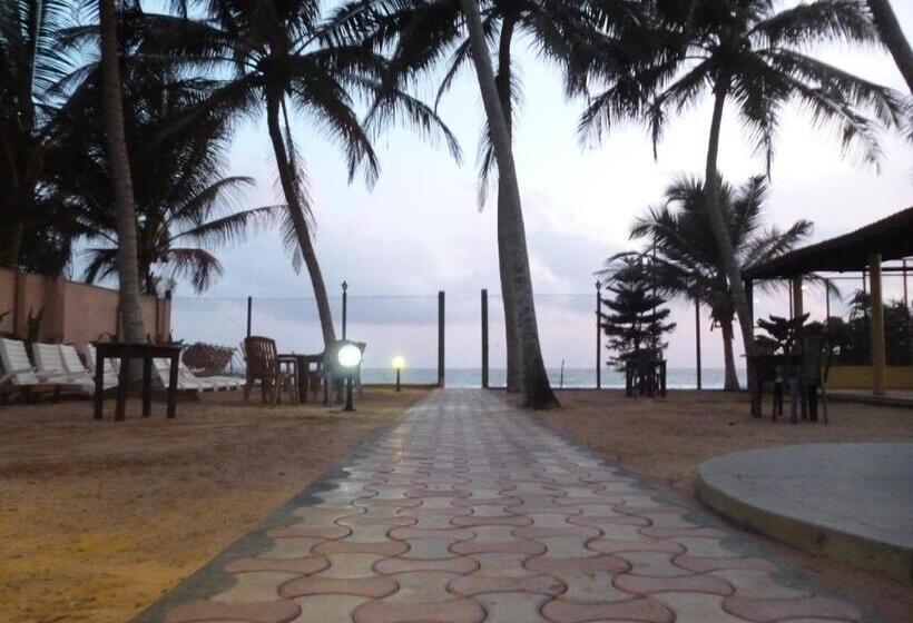 בית מלון כפרי Ocean View Cottage