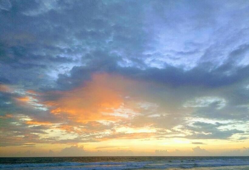 בית מלון כפרי Ocean View Cottage