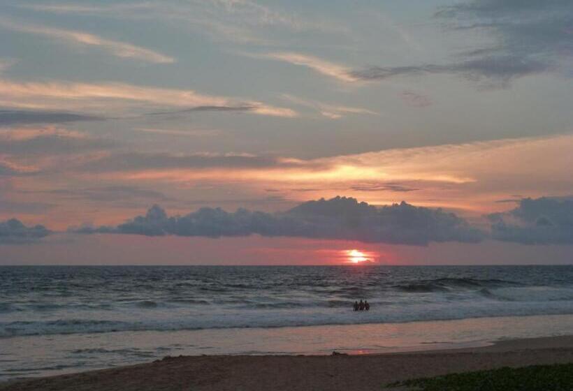 בית מלון כפרי Ocean View Cottage