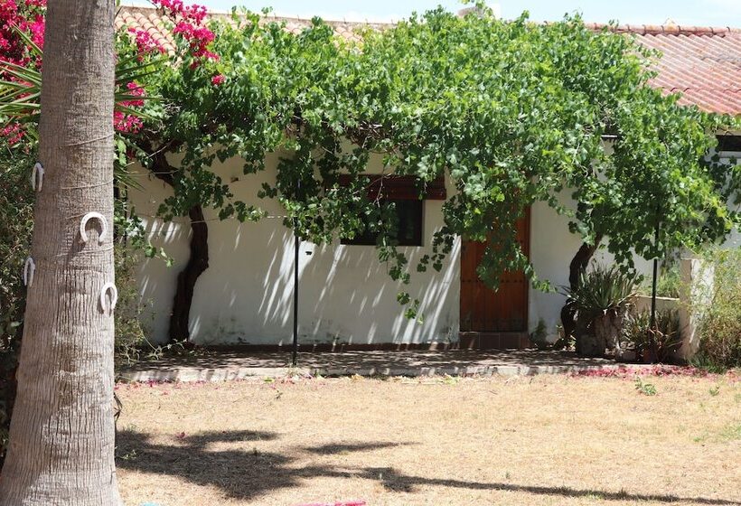 بنسيون Hípica Rancho Alegre