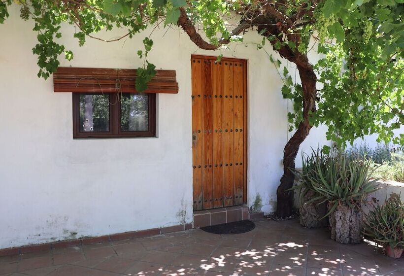 بنسيون Hípica Rancho Alegre