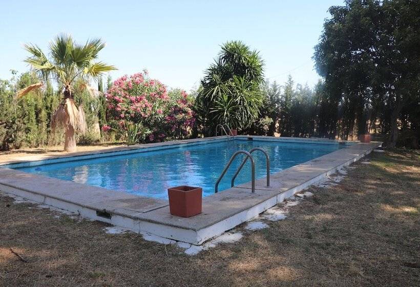 بنسيون Hípica Rancho Alegre