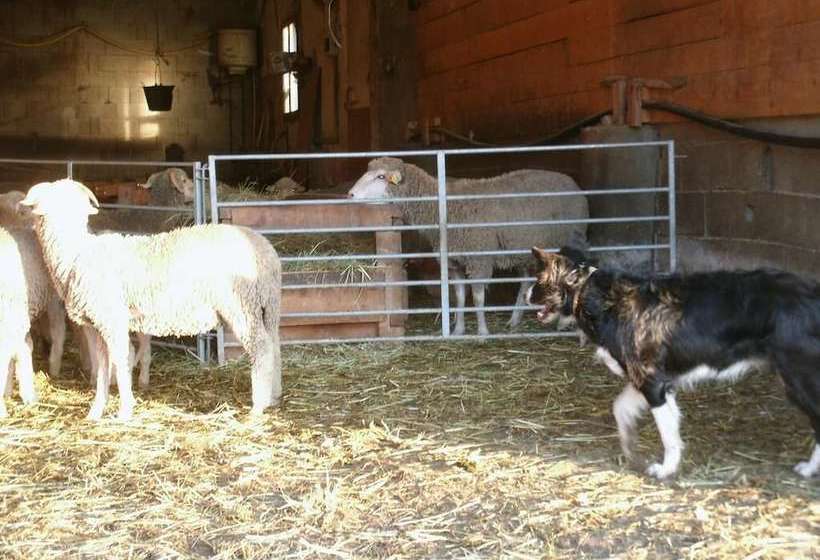 צימר La Ferme Des Buissons