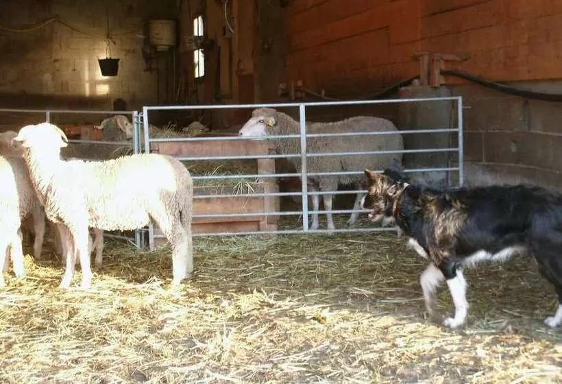 تختخواب و صبحانه La Ferme Des Buissons