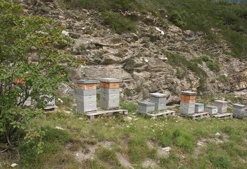 צימר La Ferme Des Buissons