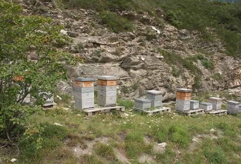 تختخواب و صبحانه La Ferme Des Buissons