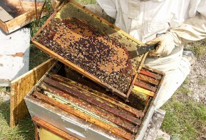 צימר La Ferme Des Buissons