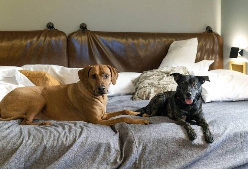 酒店 Moxy Memphis Downtown