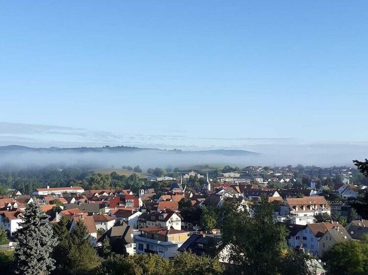 Пансион Alter Hof Mörlenbach